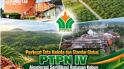 Perkuat Tata Kelola dan Standar Global, PTPN IV Akselerasi Sertifikasi Ratusan Kebun dan PKS di Seluruh Regional