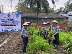 Wujudkan Asta Cita Presiden. Bantuan Sosial Lapas Kelas IIA Labuhan Ruku Gelar Panen Raya Serentak.