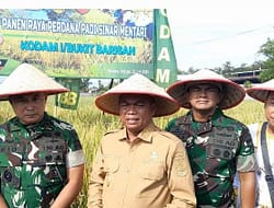 Benih Padi W2SM Sukses Tingkatkan Hasil Panen di Wilayah Kodim 0204/DS
