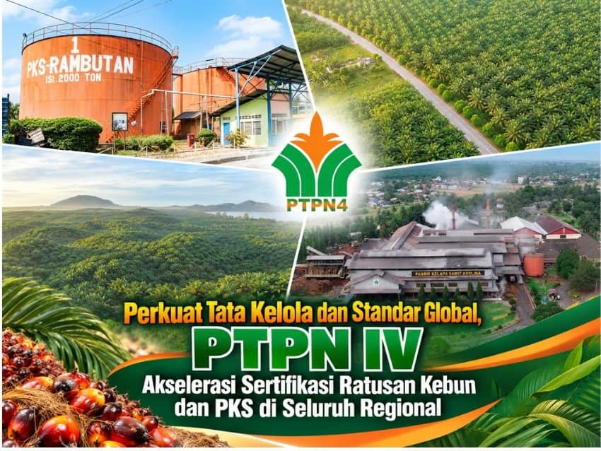 Perkuat Tata Kelola dan Standar Global, PTPN IV Akselerasi Sertifikasi Ratusan Kebun dan PKS di Seluruh Regional